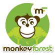 monkey-forest-parc-de-loisirs-aventures-accrobranche-44