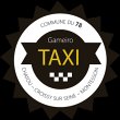 taxi-gameiro