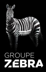groupe-zebra