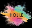 holi-e-concept