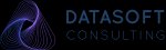 datasoft-consulting