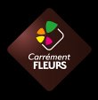 carrement-fleurs---fleuriste-clermont-ferrand-63---livraison-de-fleurs-a-domicile