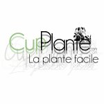 cupplante-kit-et-box