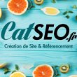 agence-catseo-referencement