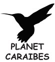 planet-caraibes