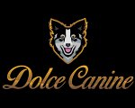 dolce-canine