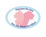 des-lynx-du-jura
