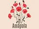 amapola-fleuriste