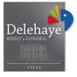delehaye-audit-et-conseil