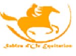 centre-equestre-bretagne-sables-d-or-equitation