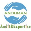 anouman-audit-et-expertise
