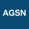 agsn-azur-granulat-services-nico