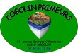cogolin-primeurs