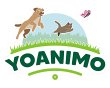 yoanimo
