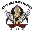 arts-martiaux-mixtes-bordeaux
