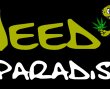 weed-paradise