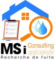 ms-i-consulting