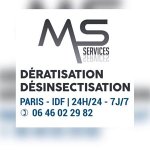 ms-services