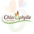 chlorophylle-sainte-luce-sur-loire