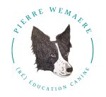 pierre-wemaere-education-canine