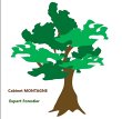 cabinet-montagne-expert-forestier