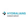 hydralians-somair-gervat-colmar