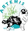 artemis-hydro-balneo-canine