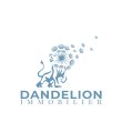 dandelion-immobilier