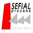 sefial-process-consultants