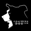 coaching-dog---sylvain-lemoussu