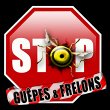 stop-guepes-frelons