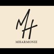 mharmonie-michael-halimi