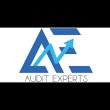 audit-experts