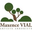 maxence-vial-artiste-arboriste
