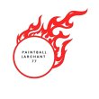 paintball-larchant-77-evolution