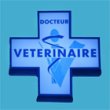 clinique-veterinaire-du-bas-poitou