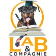 lab-compagnie