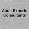 audit-experts-consultants