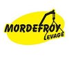 mordefroy-levage