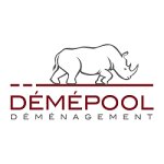 demepool-nord-demenagements-concessionnaire