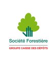 societe-forestiere-de-la-c-d-c