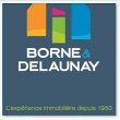 borne-et-delaunay