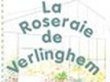 la-roseraie-de-verlinghem