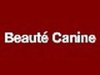 beaute-canine