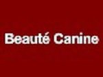beaute-canine