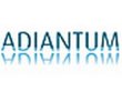 adiantum-cabinet-capillaire