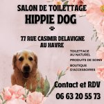 hippie-dog---toilettage-au-naturel