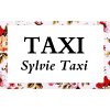 sylvie-quentin-taxi
