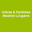 arbres-pyrenees-maxime-lougarre