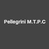pellegrini-m-t-p-c